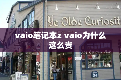 vaio笔记本z vaio为什么这么贵