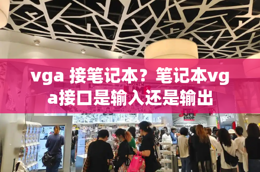 vga 接笔记本？笔记本vga接口是输入还是输出