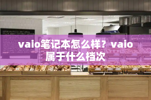 vaio笔记本怎么样？vaio属于什么档次