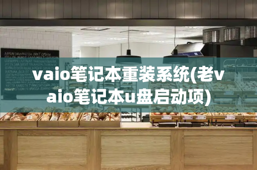 vaio笔记本重装系统(老vaio笔记本u盘启动项)