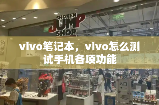vivo笔记本，vivo怎么测试手机各项功能