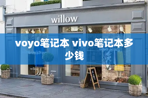 voyo笔记本 vivo笔记本多少钱-第1张图片-星选测评