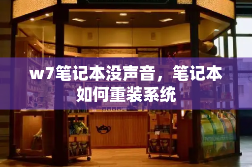 w7笔记本没声音，笔记本如何重装系统