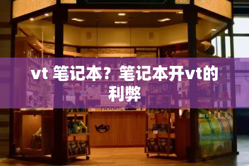 vt 笔记本？笔记本开vt的利弊-第1张图片-星选测评