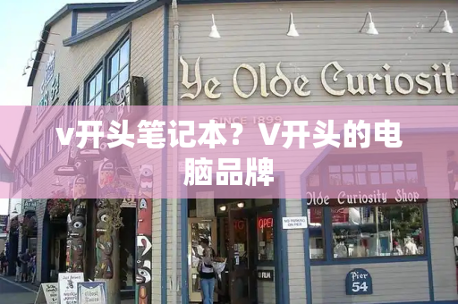 v开头笔记本？V开头的电脑品牌-第1张图片-星选测评
