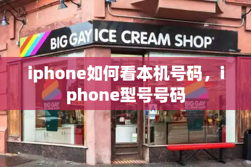 iphone如何看本机号码，iphone型号号码