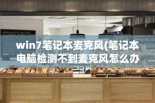 win7笔记本麦克风(笔记本电脑检测不到麦克风怎么办)-第1张图片-星选测评