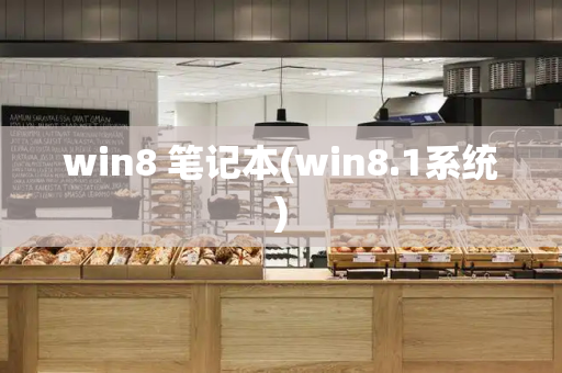 win8 笔记本(win8.1系统)