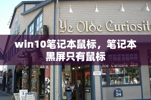 win10笔记本鼠标，笔记本黑屏只有鼠标