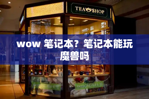 wow 笔记本？笔记本能玩魔兽吗
