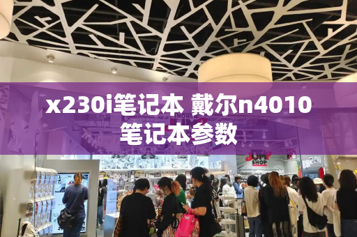 x230i笔记本 戴尔n4010笔记本参数-第1张图片-星选测评