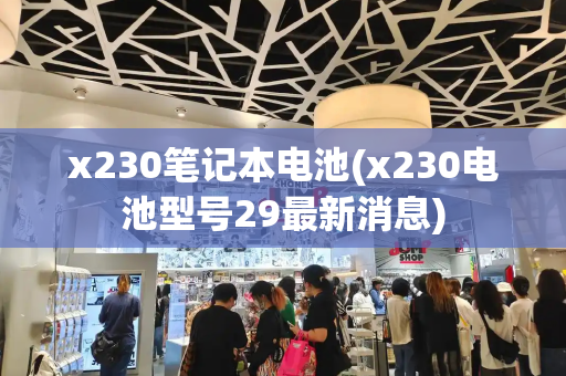 x230笔记本电池(x230电池型号29最新消息)