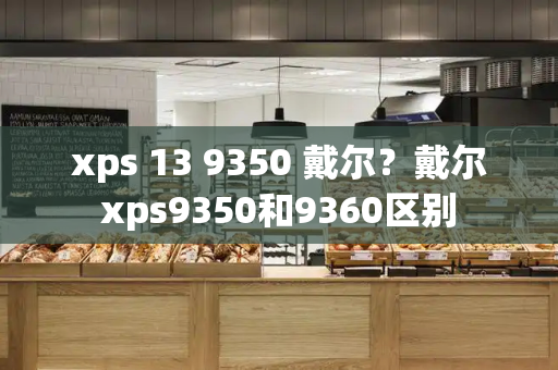 xps 13 9350 戴尔？戴尔xps9350和9360区别-第1张图片-星选测评