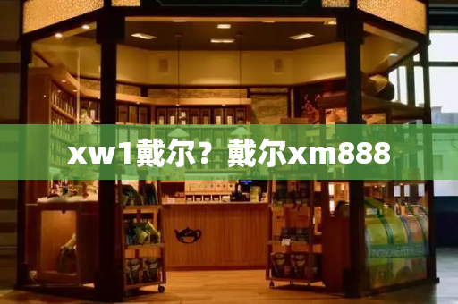 xw1戴尔？戴尔xm888-第1张图片-星选测评
