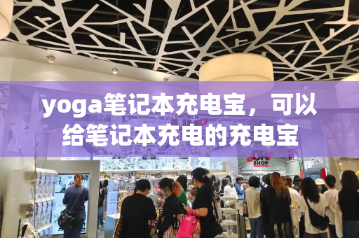 yoga笔记本充电宝，可以给笔记本充电的充电宝-第1张图片-星选测评