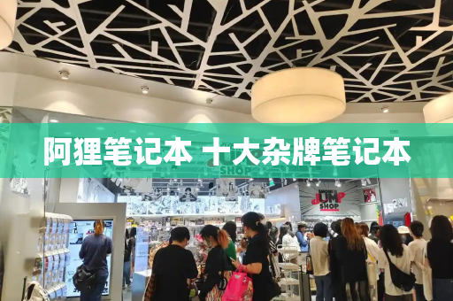阿狸笔记本 十大杂牌笔记本