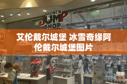 艾伦戴尔城堡 冰雪奇缘阿伦戴尔城堡图片