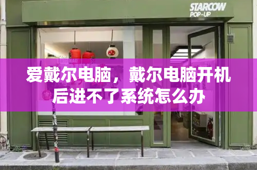 爱戴尔电脑，戴尔电脑开机后进不了系统怎么办-第1张图片-星选测评