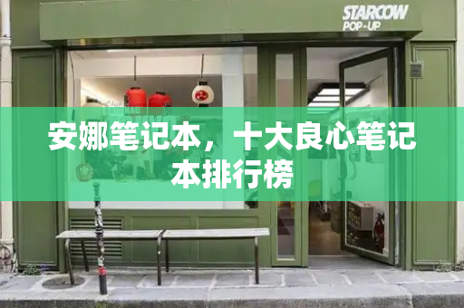 安娜笔记本，十大良心笔记本排行榜-第1张图片-星选测评