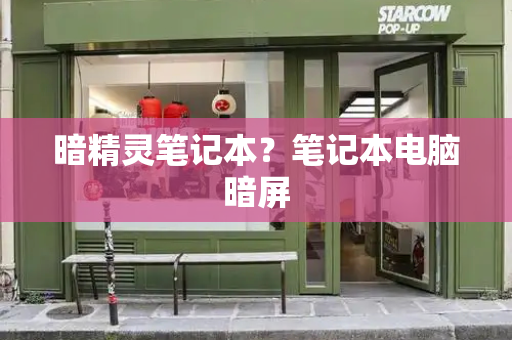 暗精灵笔记本？笔记本电脑暗屏