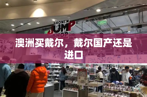 澳洲买戴尔，戴尔国产还是进口