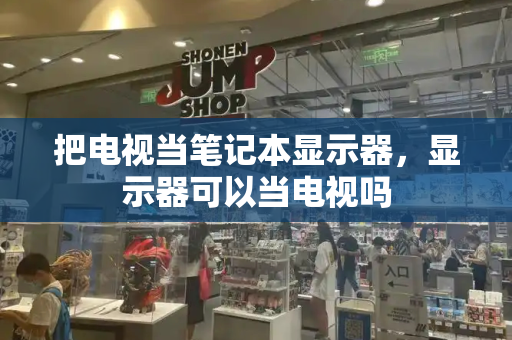 把电视当笔记本显示器，显示器可以当电视吗
