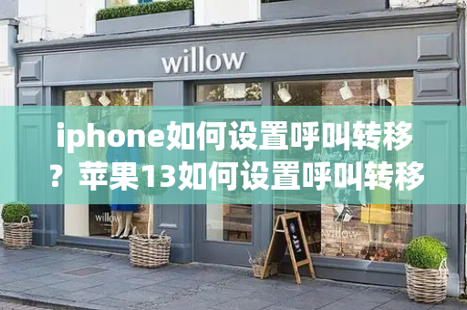 iphone如何设置呼叫转移？苹果13如何设置呼叫转移