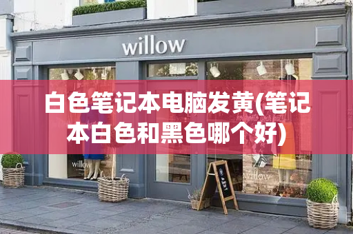 白色笔记本电脑发黄(笔记本白色和黑色哪个好)