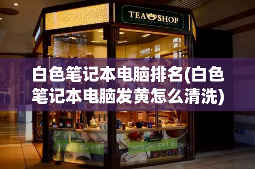 白色笔记本电脑排名(白色笔记本电脑发黄怎么清洗)