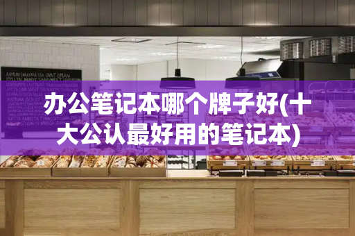 办公笔记本哪个牌子好(十大公认最好用的笔记本)-第1张图片-星选测评