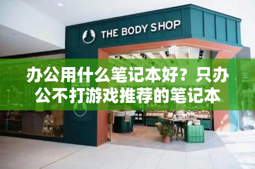 办公用什么笔记本好？只办公不打游戏推荐的笔记本-第1张图片-星选测评