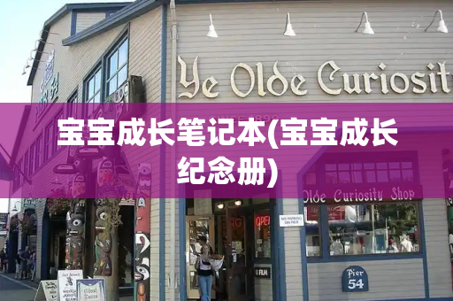 宝宝成长笔记本(宝宝成长纪念册)
