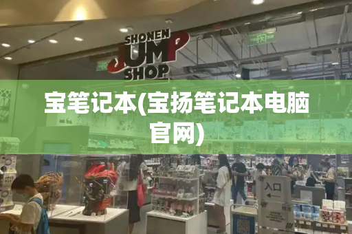 宝笔记本(宝扬笔记本电脑官网)-第1张图片-星选测评