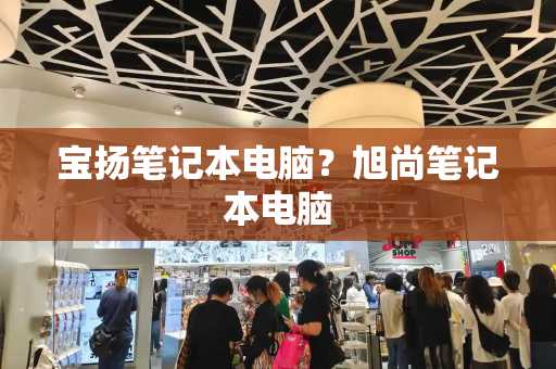 宝扬笔记本电脑？旭尚笔记本电脑-第1张图片-星选测评
