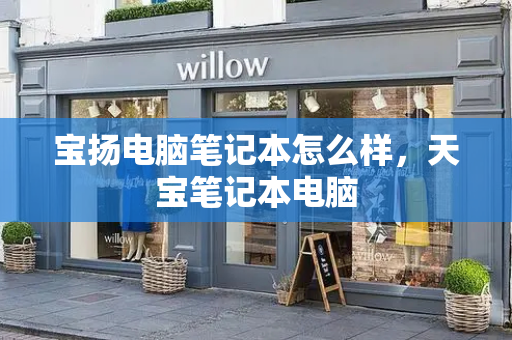 宝扬电脑笔记本怎么样，天宝笔记本电脑-第1张图片-星选测评