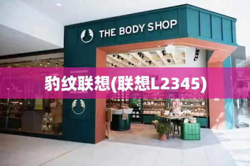 豹纹联想(联想L2345)-第1张图片-星选测评