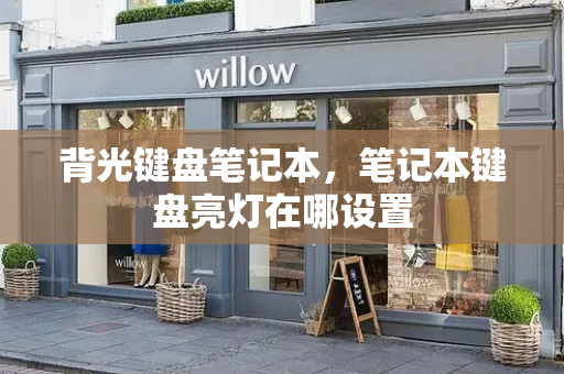 背光键盘笔记本，笔记本键盘亮灯在哪设置-第1张图片-星选测评