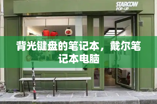 背光键盘的笔记本，戴尔笔记本电脑-第1张图片-星选测评