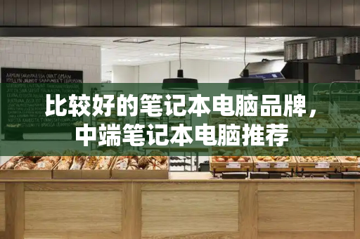 比较好的笔记本电脑品牌，中端笔记本电脑推荐-第1张图片-星选测评
