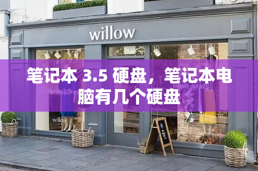 笔记本 3.5 硬盘，笔记本电脑有几个硬盘