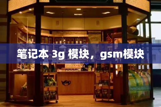 笔记本 3g 模块，gsm模块-第1张图片-星选测评