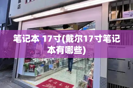 笔记本 17寸(戴尔17寸笔记本有哪些)-第1张图片-星选测评