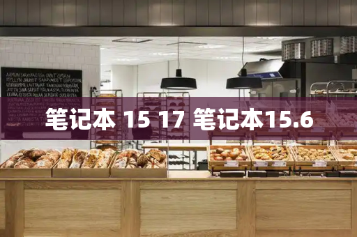 笔记本 15 17 笔记本15.6-第1张图片-星选测评
