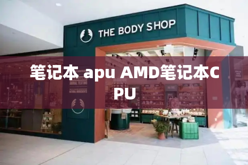 笔记本 apu AMD笔记本CPU-第1张图片-星选测评