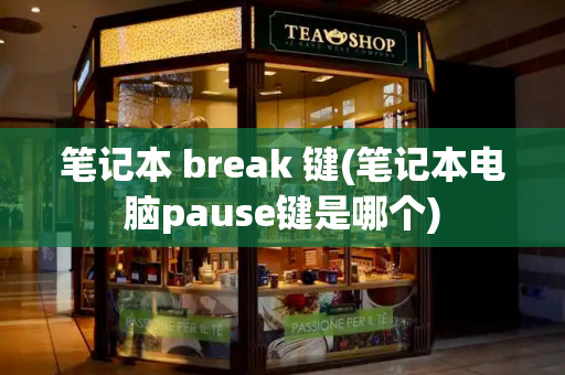 笔记本 break 键(笔记本电脑pause键是哪个)-第1张图片-星选测评