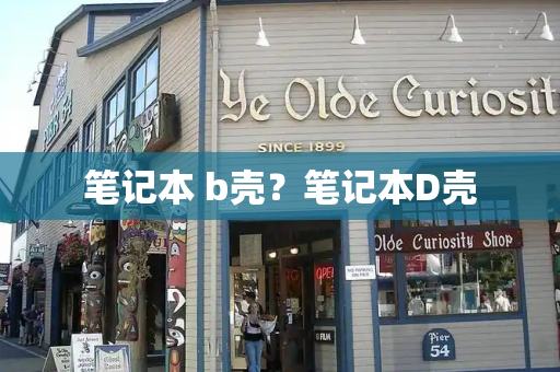 笔记本 b壳？笔记本D壳-第1张图片-星选测评
