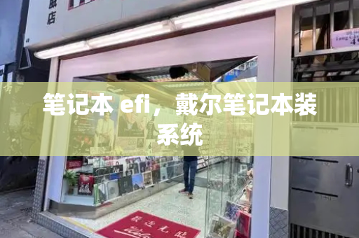 笔记本 efi，戴尔笔记本装系统