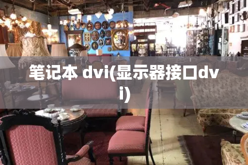 笔记本 dvi(显示器接口dvi)