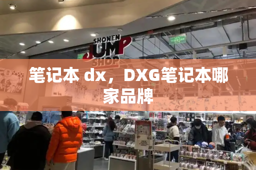 笔记本 dx，DXG笔记本哪家品牌-第1张图片-星选测评