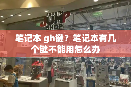 笔记本 gh键？笔记本有几个键不能用怎么办